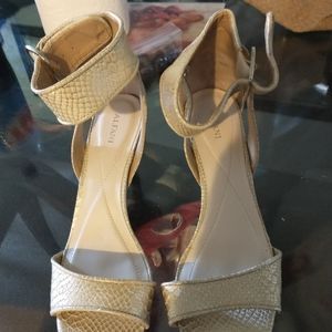 NWOT Alfani Gold Heels sz 9.5